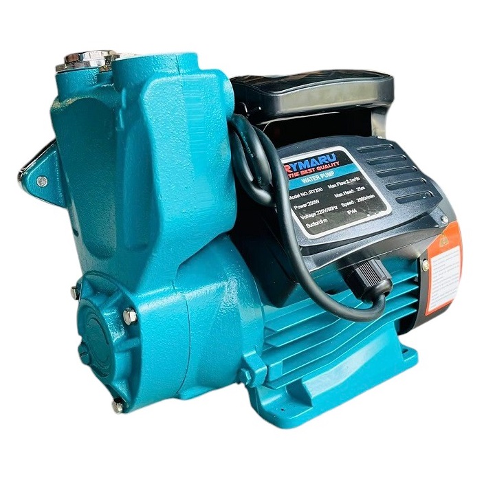 Máy Bơm Nước Chân Không 400W Rymaru RY400 - Ảnh 3